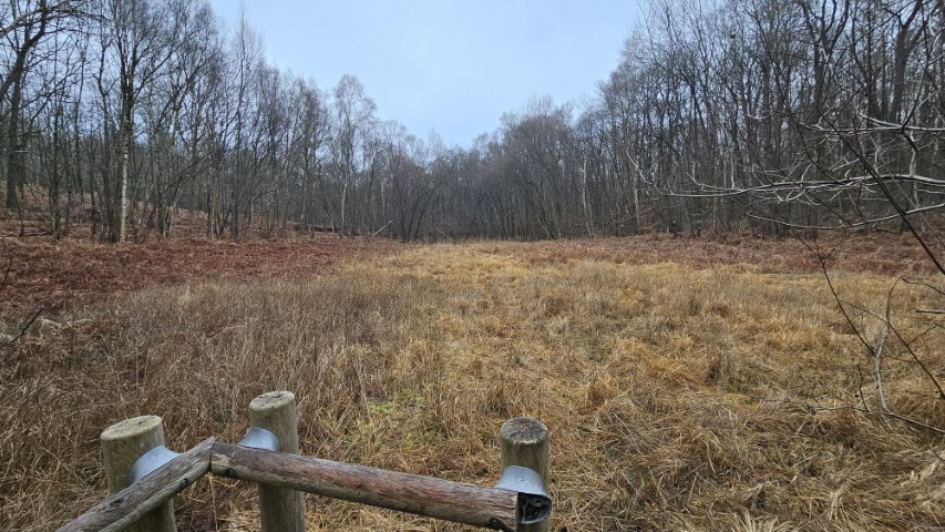 Tourbière de la Cailleuse